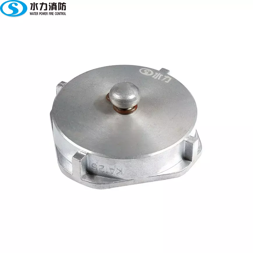 螺纹闷盖